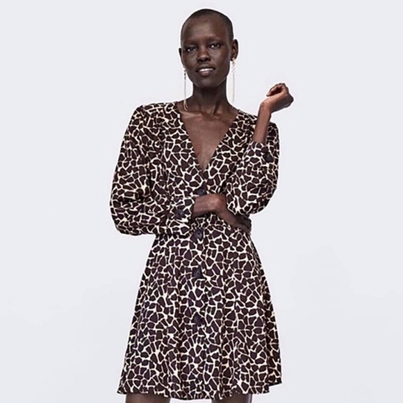 Zara Giraffe Print V-Neck Mini Dress - Picture 1 of 10